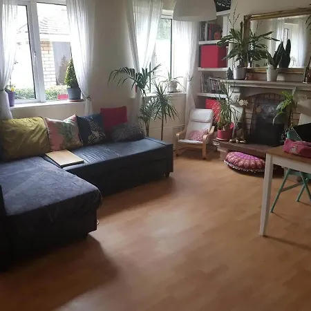 Private In Cosy House With Plants * Dublin