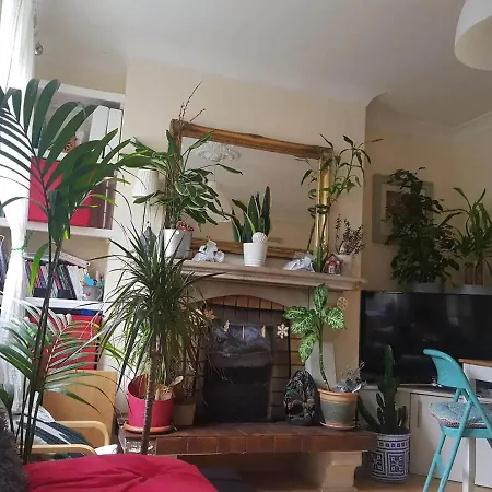Rum i privatbostad Private In Cosy House With Plants